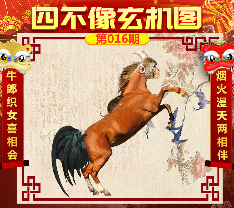 管家婆心水主论坛，揭秘彩票背后的智慧与策略