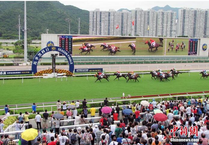 开奖直播现场，香港马会的璀璨时刻开奖直播现场 香港l播