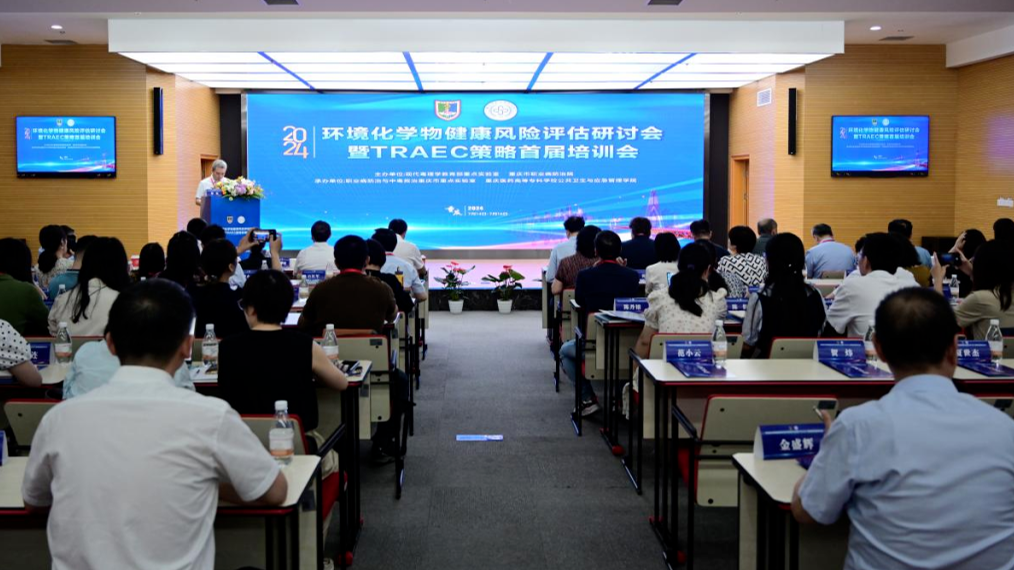 火凤凰高手论坛，探索智慧与策略的交汇点火凤凰高手论坛官网