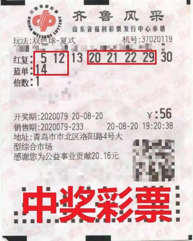 今晚开特马开奖结果，揭秘彩票背后的故事与理性投注的重要性今晚开特马开奖结果+开奖结果