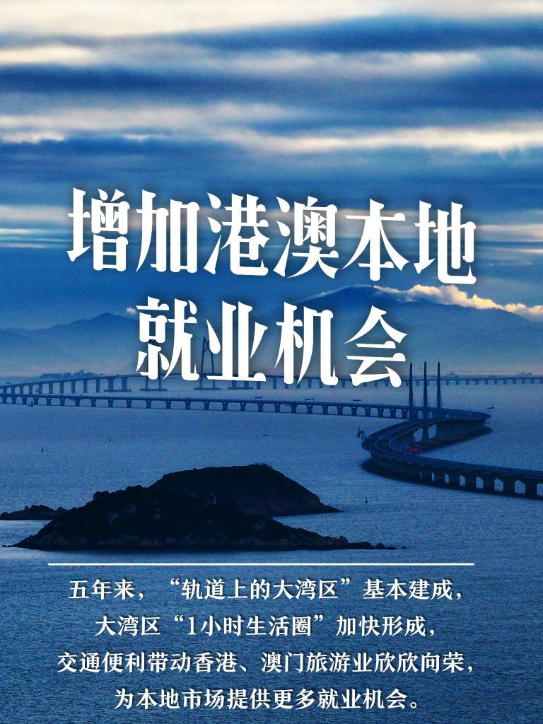 2034年澳门免费资料查询结果，揭秘未来一年的机遇与挑战2020年澳门免费资料大全正版2020