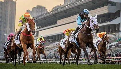 香港马会资料大全，历史、运营与影响
