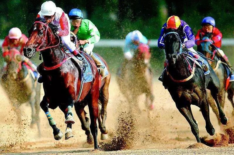 今天香港开什么特马，探索赛马文化的魅力与影响香港今天开什么码今天晚上