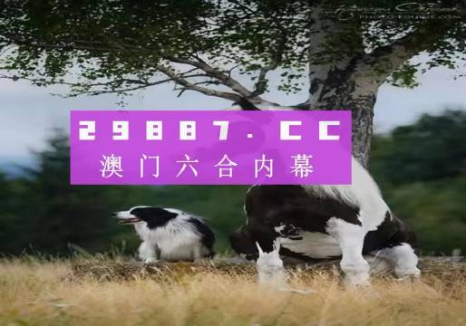 旺角彩二四六天空，探索彩票的奥秘与赢家的智慧旺角彩二四六天空彩赢彩网最新