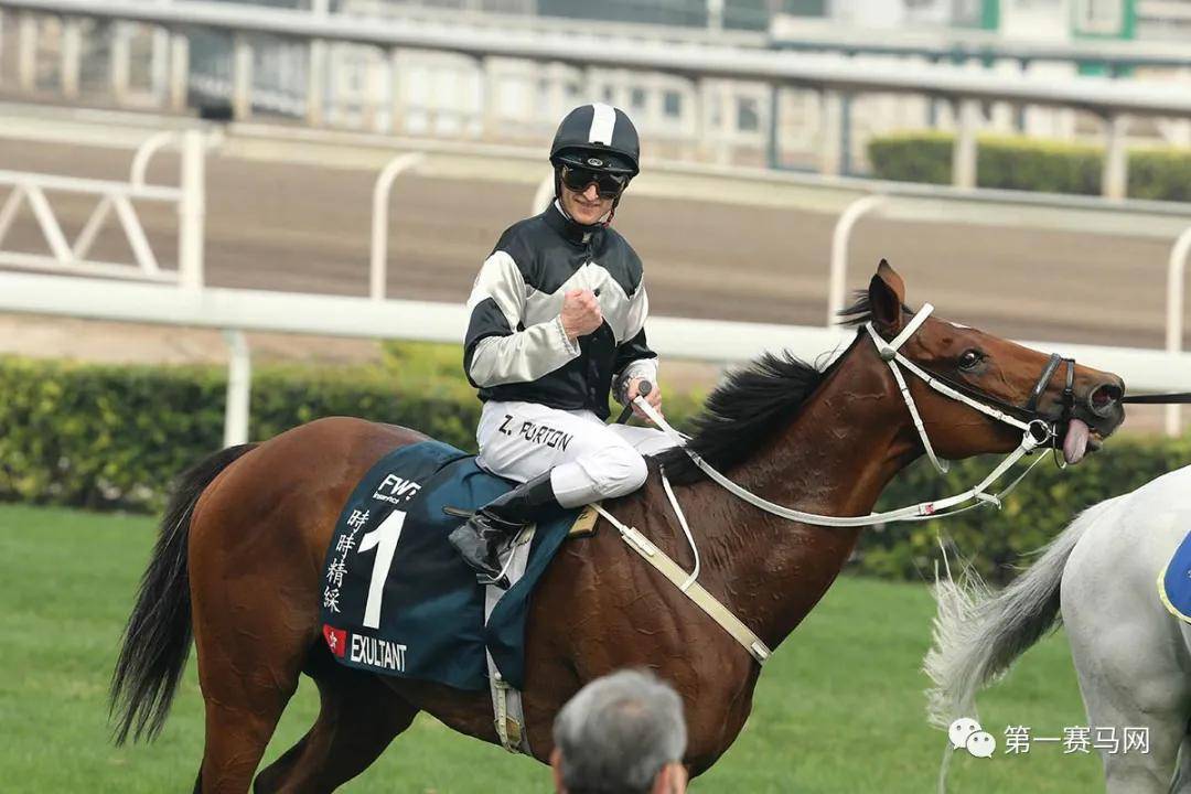 香港马会2019资料大全，历史、运营与影响香港2020年马会免费资料大全