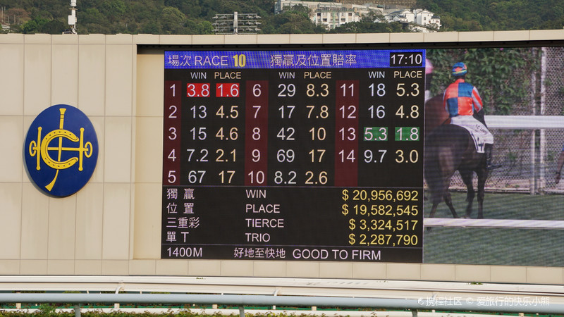 香港现场开码，揭秘香港赛马与赌博文化的独特现象香港现场开码结果怎么查