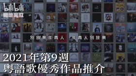 今晚特马码，一场数字与命运的交响曲请问今晚特马图是什么