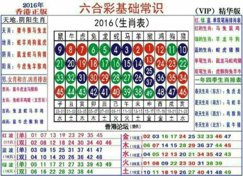 一码一肖102%精准，揭秘数字命理与生肖文化的神秘交汇一码一肖100%精准,最佳精选解释落实_The