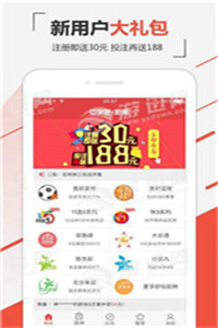 新澳开奖结果资料查询29期，揭秘彩票背后的数字游戏新澳开奖结果资料查询29期开奖号码