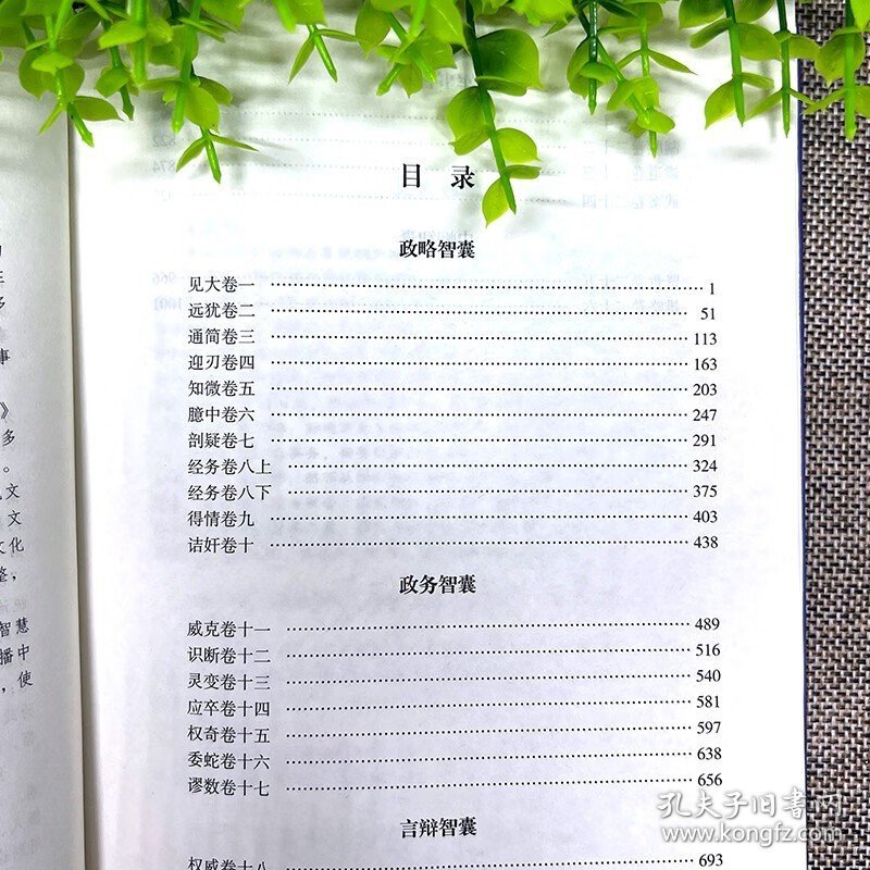 白小姐49精准一句诗，诗意与命运的交织管家婆正版管家