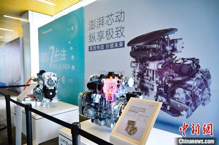 正版四不像吧，探索数字时代的文化创新与版权保护正版四不像吧135期图